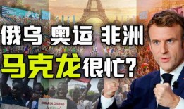 荷兰军医爆料视频大全集,揭秘战争背后的真相与挑战